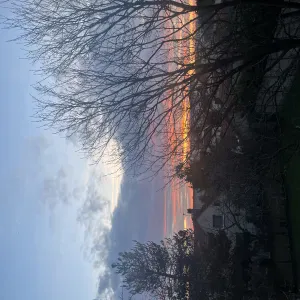 Baby-sitter disponible pour gardes occasionnels 