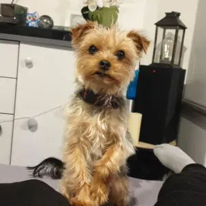 Une famille de vacances pour titou