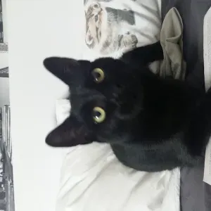 Etudiante kiné propose de l"aide aux devoirs