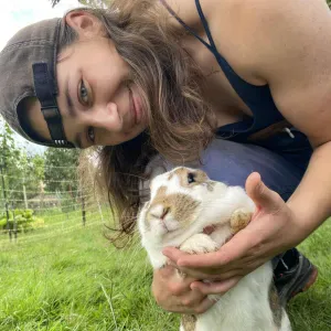 Pet sitting in Roskilde  and Copenhagen area