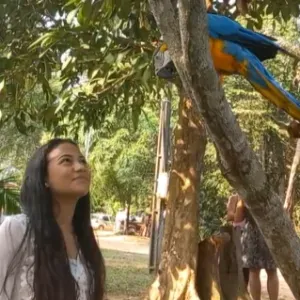 CUIDADORA DE IDOSOS – ATENÇÃO E CARINHO PARA QUEM VOCÊ AMA