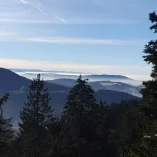 Assistante maternelle agréée Robertsau 