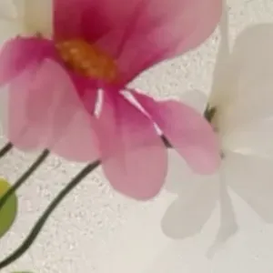 Aide a domicile pour personnes âgées et autres