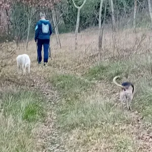 Per sitting provincia di Chieti 