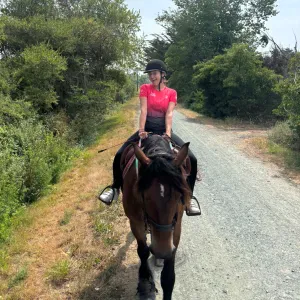 Pet-sitter à Nantes et les alentours !