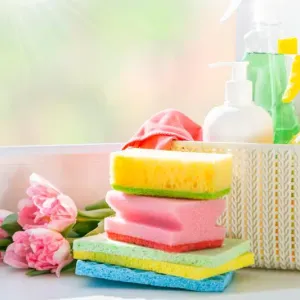 Femme de ménage 3/h par semaine