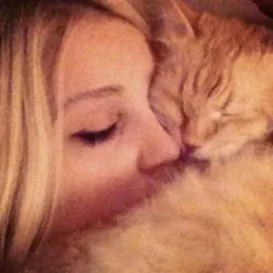 Feeding, walking, playing, care for pets