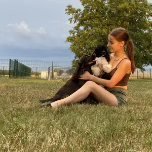 Mission pour vos compagnons