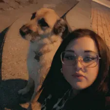 Pet-sitter pour vos petites boules de poils