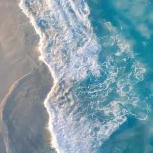 Parce que votre toutou mérite le meilleur !