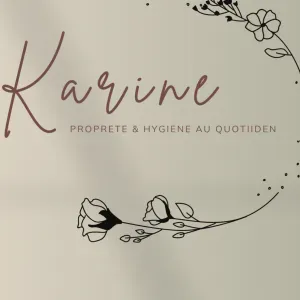 Aide ménagère / repassage/ compagnie