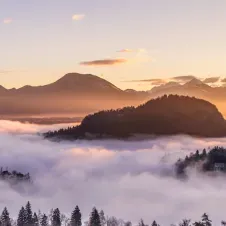 Je m'occupe de vos protégés lors de vos absences