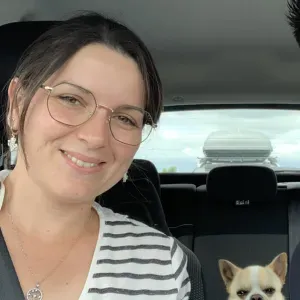 Promener et rendre visite à vos animaux