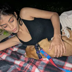 Pet sitting service caring pets