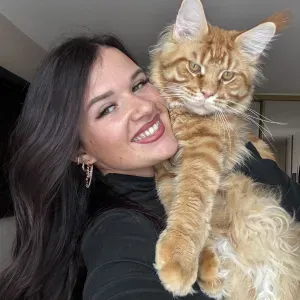 Proposition d'aide aux seniors