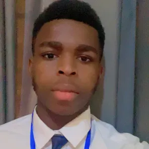 Prof expérimenter de mathématique