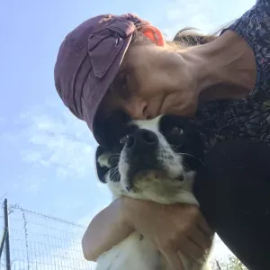 Pet sitting Cassina de' Pecchi entro 20 km