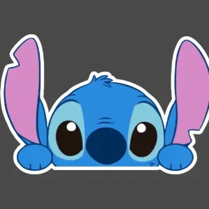 Femme de ménage à domicile sur perigueux et alentours 