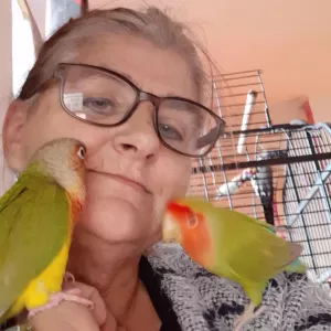 Emploi de Petsitter Namur