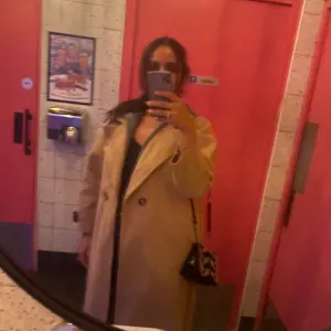 Pet sitter île de France ♥️♥️♥️♥️