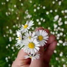 aide ménagère à domicile Spa