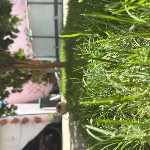 Femme de ménage à domicile expérimentée à Meyrin