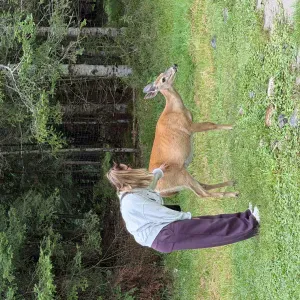 Passionnée par les animaux, responsable attentionnée 