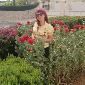 Serviços de limpeza - Profissional e Fiável Almancil 