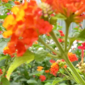 Nounou expérimentée pour vos bambins