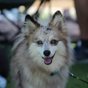 Recherche professeur à domicile – 6h par semaine à Antibes