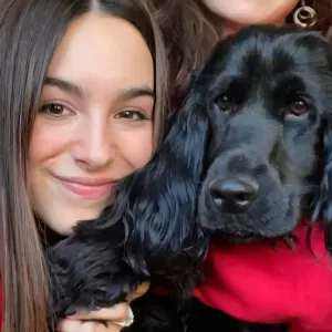 Pet Sitting su misura: amore e cura per ogni animale 