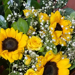 Babysitter com experiência em sintra 