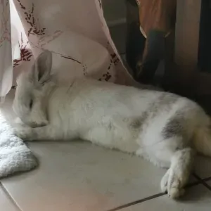 Étudiante qui adore s'occuper des enfants 