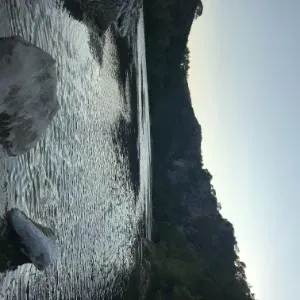 Sérieuse et passionnée, vos animaux vont m'adorer !