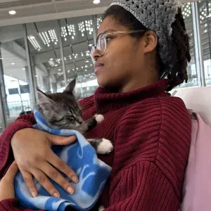 Pet-sitter pour chats, chiens et autres à Forbach