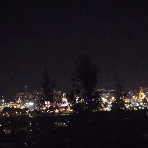 Gyvūnų prežiura Lentvaryje,Vilniuje