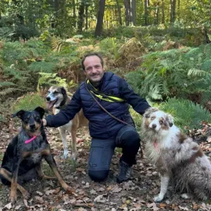 Promeneur de chiens en forêt privée clôturée 