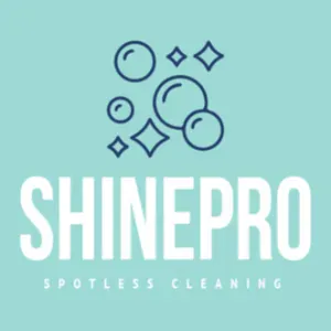 Expierenced and hard working Cleaners