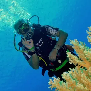 Cerco un petsitter vicino a me