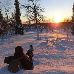 Pet-sitter à Méjannes-le-clap et alentours