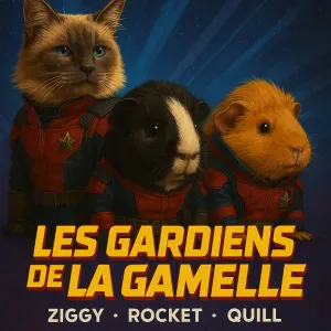 Visites/repas chat et cochons d'inde