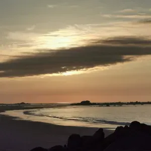 Assisstante de vie /aide à domicile