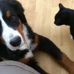 A Bruxelles-Evere, avec amour et attention!