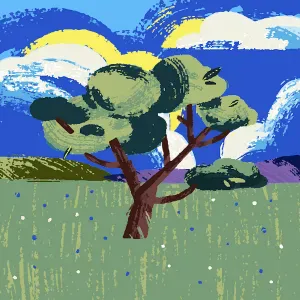 Lavoro pulizie Rende