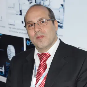 in cerca di un cat sitter