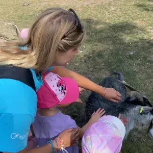 recherche baby-sitting  à Marck 