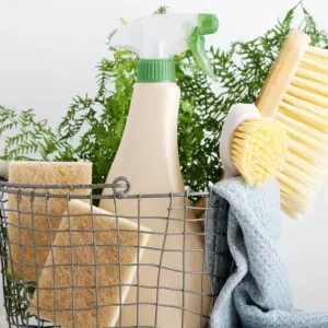 Prestations de femme de ménage 