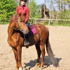 Opieka nad zwierzętami- wizyty domowe i spacerki!🐾🌼 