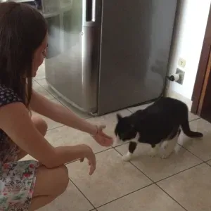 Pet Sitter affidabile a Sanremo