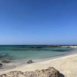 Cerco Signora Pulizie 